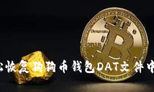 如何轻松恢复狗狗币钱包DAT文件中的数据？