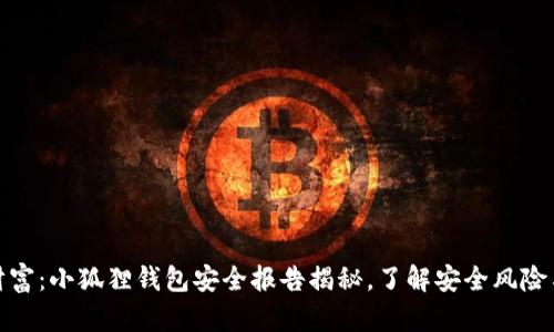 保护数字财富：小狐狸钱包安全报告揭秘，了解安全风险与防范措施