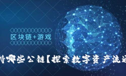 小狐狸钱包支持哪些公链？探索数字资产流通的全新可能性