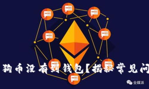 为什么我的狗狗币没有到钱包？揭秘常见问题与解决办法