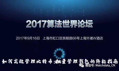 如何高效管理比特币：批量管理钱包的终极指南
