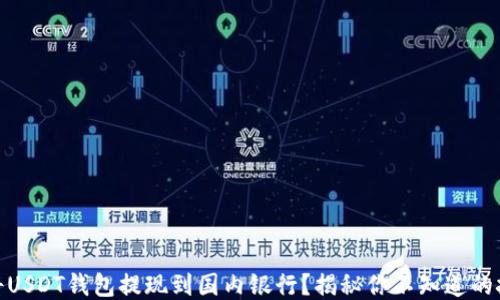 
如何顺利将USDT钱包提现到国内银行？揭秘你不知道的技巧与步骤
