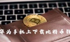 探索数字货币的世界：如