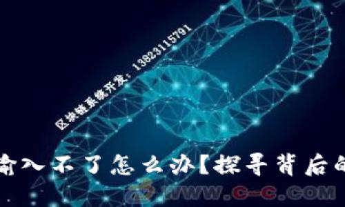 小狐狸钱包为何输入不了怎么办？探寻背后的原因与解决方案