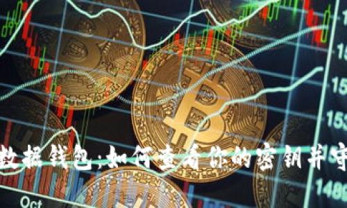 探索比特币数据钱包：如何查看你的密钥并守护资产安全