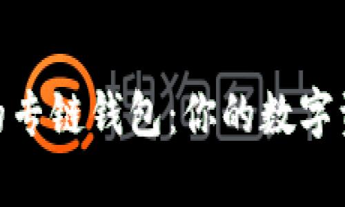 探索泰达币的专链钱包：你的数字资产安全之选