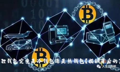 小狐狸钱包究竟是冷钱包还是热钱包？揭秘背后的真相！