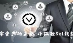 为你解锁数字资产的未来
