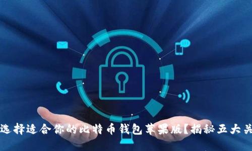 如何选择适合你的比特币钱包苹果版？揭秘五大关键点