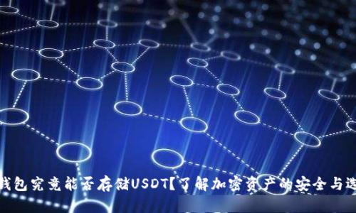 冷钱包究竟能否存储USDT？了解加密资产的安全与选择