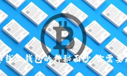 揭开比特币线上钱包的神秘面纱：你需要知道的一切