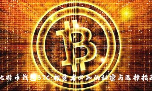 比特币钱包BTC：投资者必知的秘密与选择指南