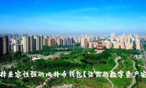 如何选择兼容性强的比特币钱包？让你的数字资产安全无忧