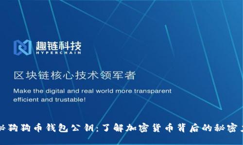 揭秘狗狗币钱包公钥：了解加密货币背后的秘密力量
