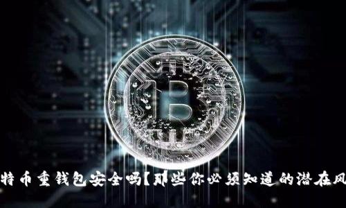 比特币重钱包安全吗？那些你必须知道的潜在风险