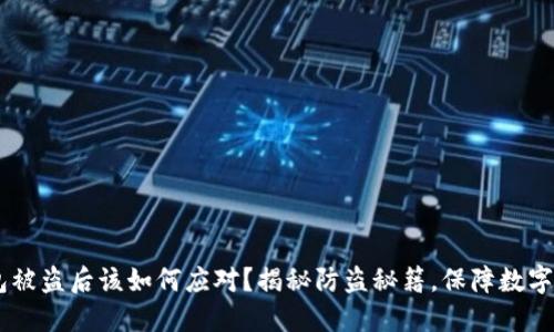 USDT钱包被盗后该如何应对？揭秘防盗秘籍，保障数字资产安全