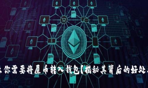 为什么你需要将屎币转入钱包？揭秘其背后的好处与风险