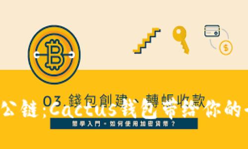 探索SOL公链：Cactus钱包带给你的全新体验