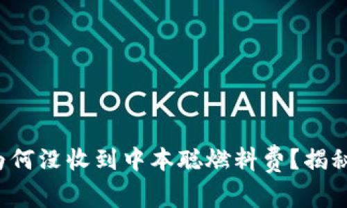 小狐狸钱包为何没收到中本聪燃料费？揭秘背后的真相！