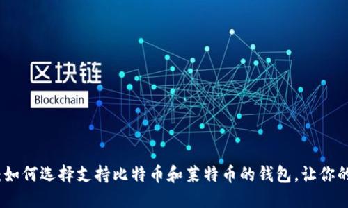 从传统到数字：如何选择支持比特币和莱特币的钱包，让你的资产安全无忧
