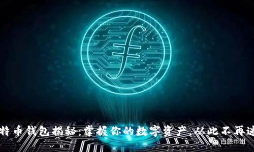 比特币钱包揭秘：掌握你的数字资产，从此不再迷茫