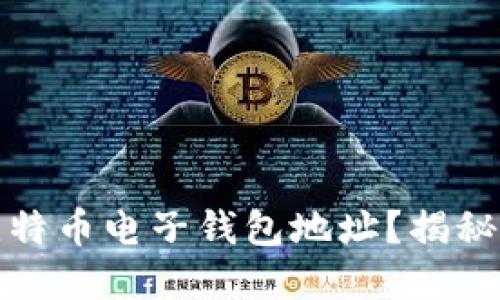 如何轻松生成比特币电子钱包地址？揭秘安全及实用技巧