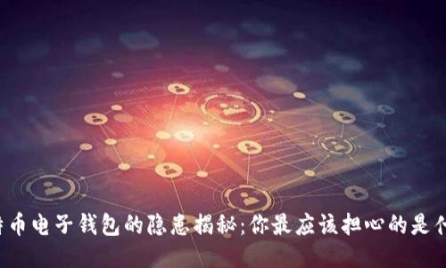 比特币电子钱包的隐患揭秘：你最应该担心的是什么？