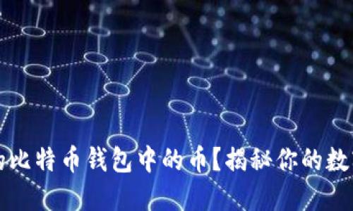 如何找回丢失的比特币钱包中的币？揭秘你的数字资产保护秘籍