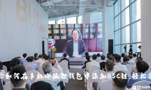一步一步教你如何在手机小狐狸钱包中添加BSC链，轻松享受跨链体验