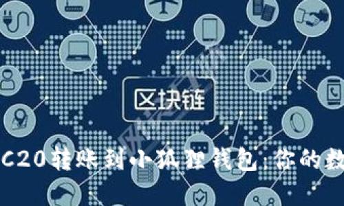 轻松实现波场TRC20转账到小狐狸钱包：你的数字资产保护秘笈