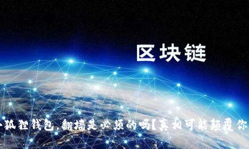 注册小狐狸钱包，翻墙是必须的吗？真相可能颠覆你的想法