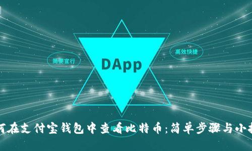 如何在支付宝钱包中查看比特币：简单步骤与小技巧