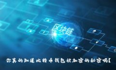 你真的知道比特币钱包被