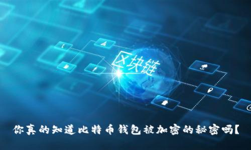 你真的知道比特币钱包被加密的秘密吗？