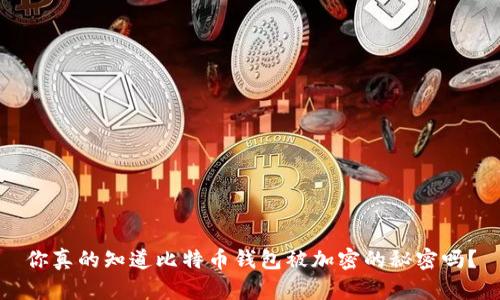 你真的知道比特币钱包被加密的秘密吗？