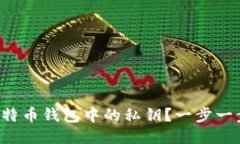 如何查看比特币钱包中的