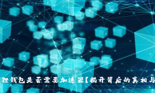 小狐狸钱包是否需要加速器？揭开背后的真相与潜力
