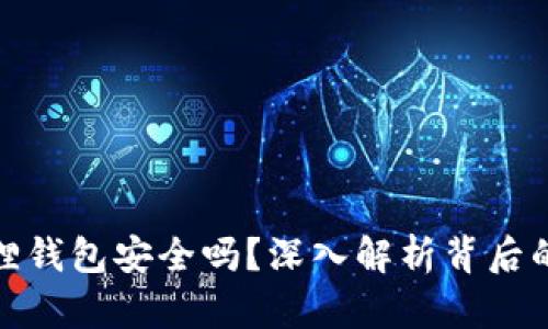 酷儿币小狐狸钱包安全吗？深入解析背后的真相与风险