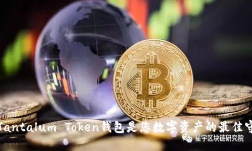  为何Tantalum Token钱包是您数字资产的最佳守护者？