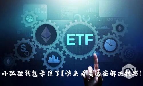 小狐狸钱包卡住了？快来看看这些解决技巧！