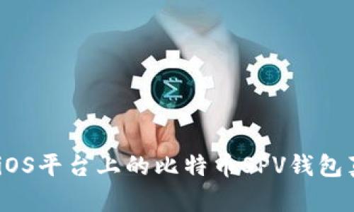 探索未来金融：iOS平台上的比特币SPV钱包真相与选择指南