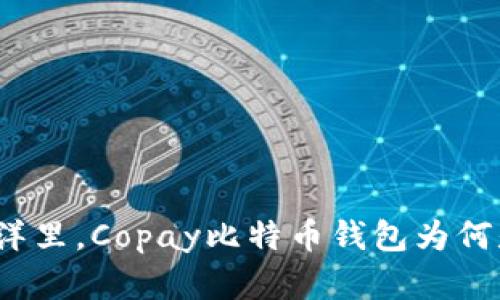 在数字货币的海洋里，Copay比特币钱包为何是你的最佳伙伴？