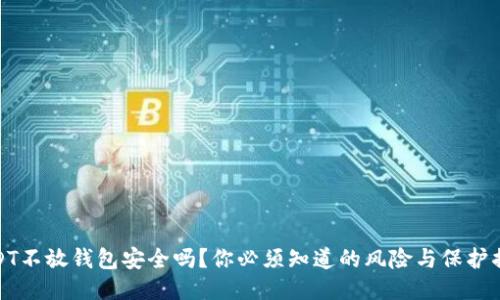 USDT不放钱包安全吗？你必须知道的风险与保护措施