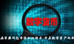 如何在苹果钱包中添加比