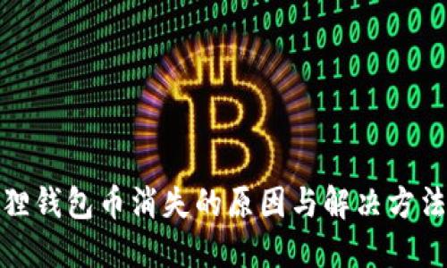 小狐狸钱包币消失的原因与解决方法探讨