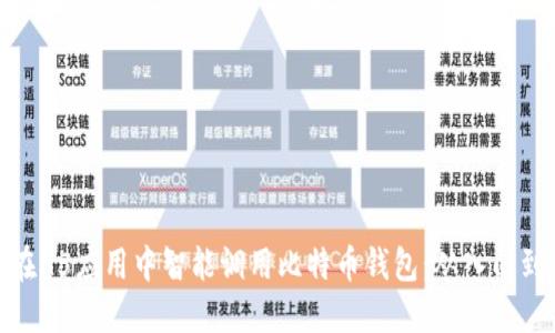 如何在H5应用中智能调用比特币钱包：从入门到精通
