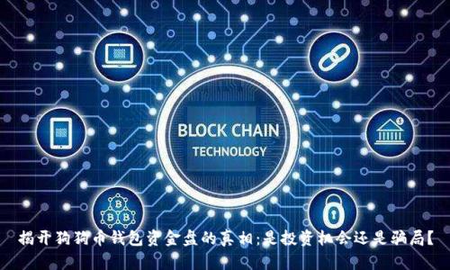 揭开狗狗币钱包资金盘的真相：是投资机会还是骗局？