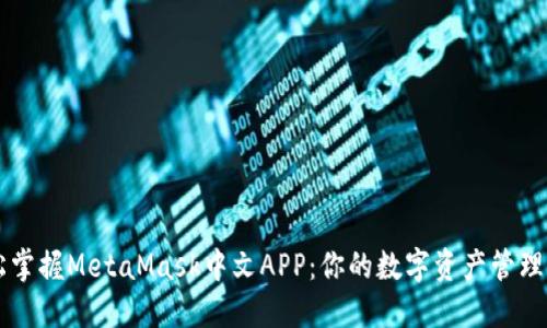 轻松掌握MetaMask中文APP：你的数字资产管理助手