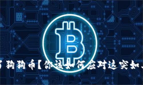 钱包里多了狗狗币？你该如何应对这突如其来的财富