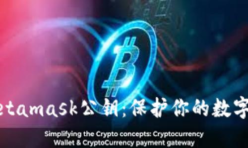 如何安全管理Metamask公钥：保护你的数字资产不再是难题